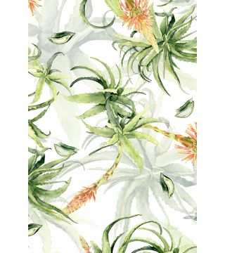 RUNNER ALOE 50 x 145